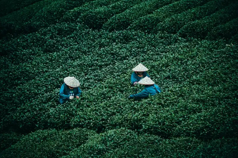 贵州中小企业改制方案设计要点与股权架构优化路径解析